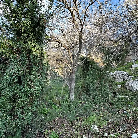 Tremythia Homes Nyaraló