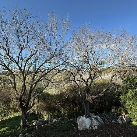 Tremythia Homes * Konia