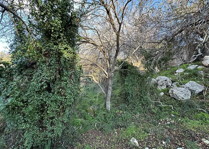 Tremythia Homes Prázdninový dům