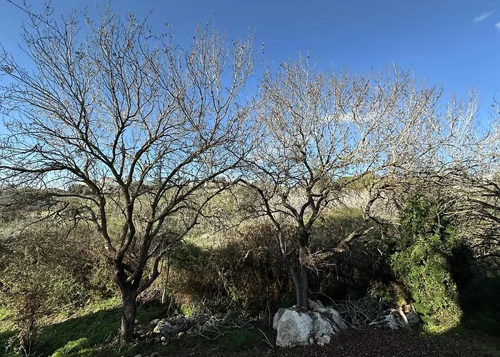 Tremythia Homes * Konia